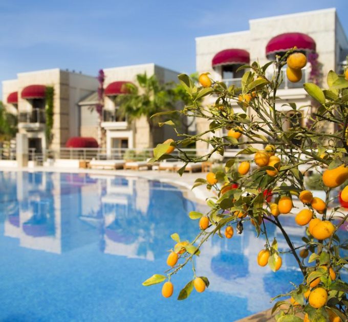 Bodrum Otelleri ve Bodrum Otel fiyatları ile ilgili tüm detaylar.